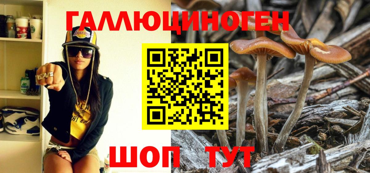 Псилоцибиновые грибы мицелий  Вход с VPN  Лесосибирск 